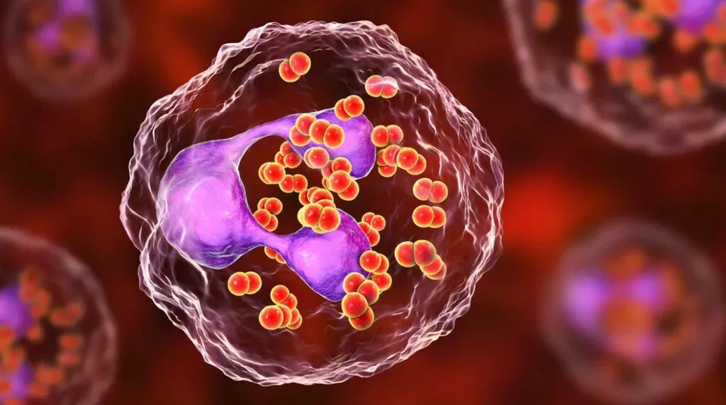 Ureaplasma Urealyticum Infections in Melaka- Symptoms, Testing and Treatment